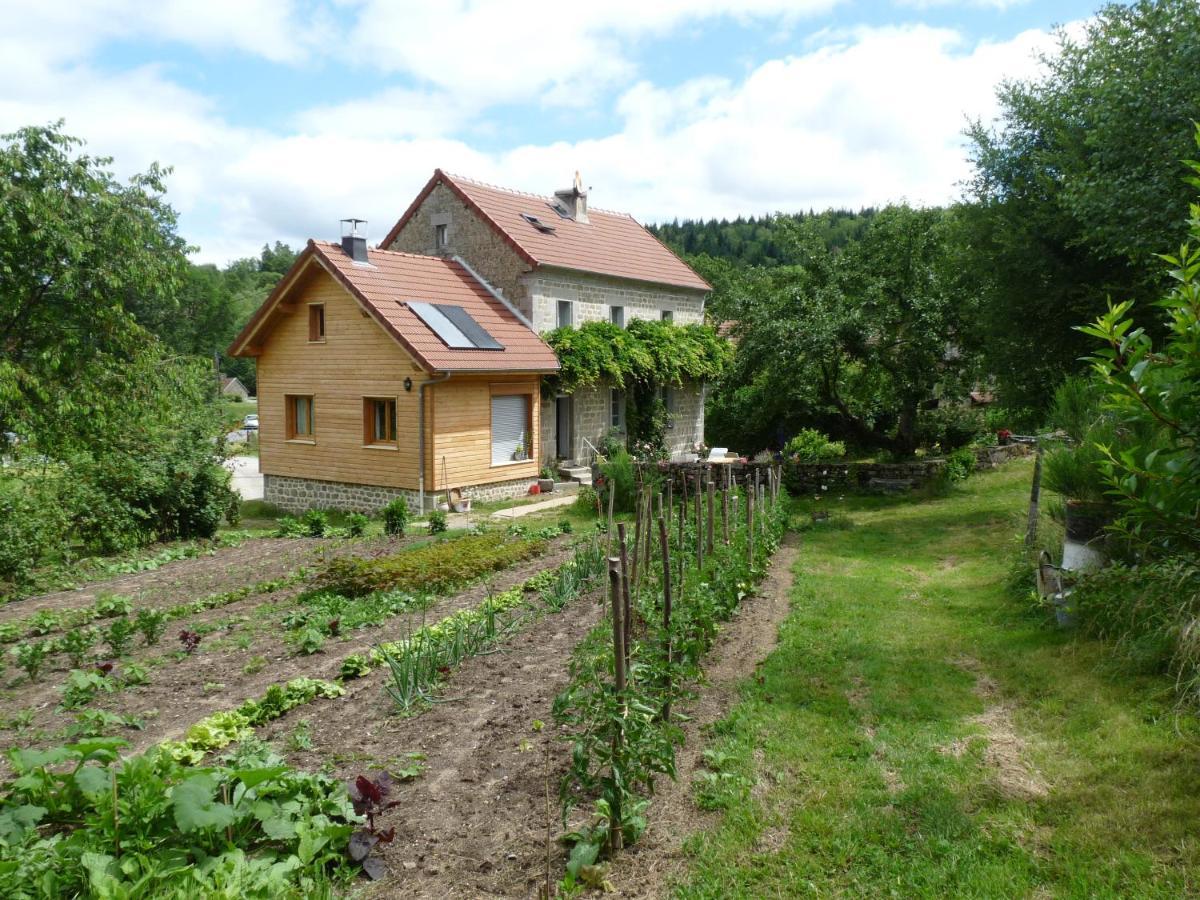 Chez Geppetto Bed and Breakfast Saint-Georges-Nigremont Exteriör bild